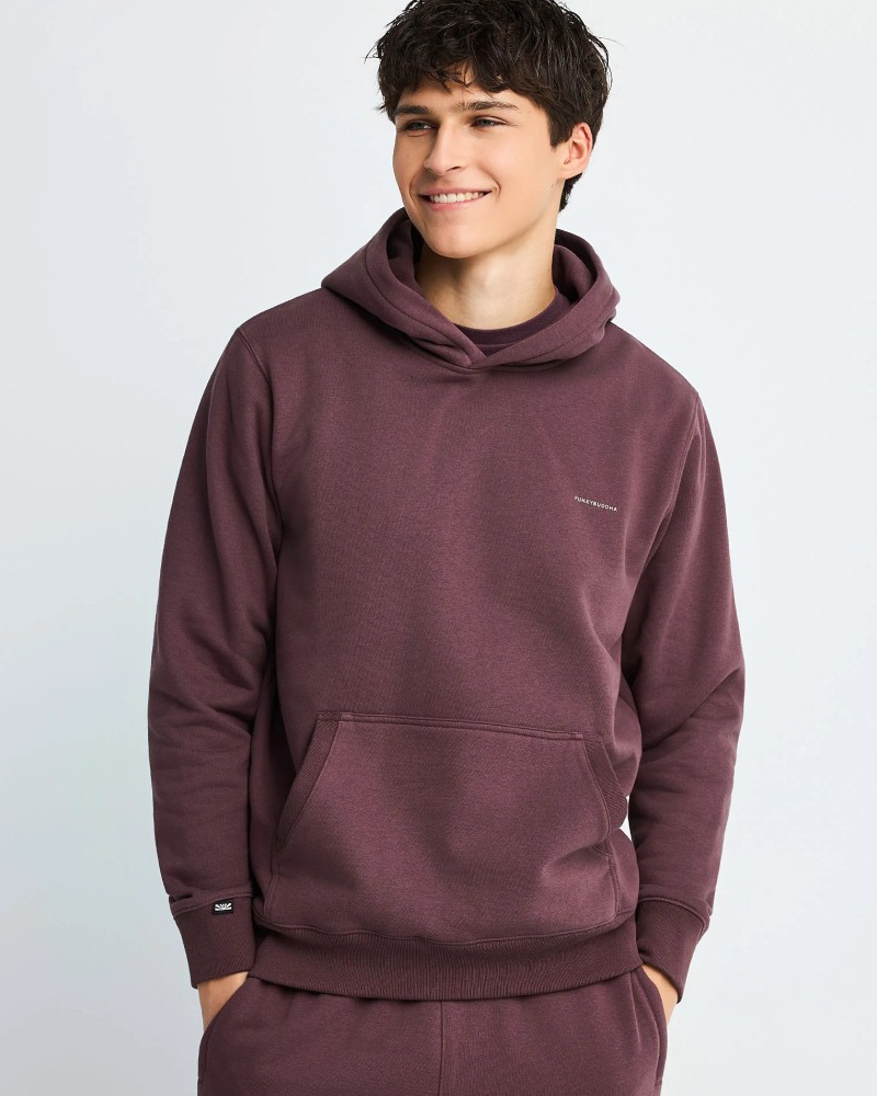 FUNKYBUDDHA ESSENTIAL ΑΝΔΡΙΚΟ HOODIE - SHADOW MAUVE